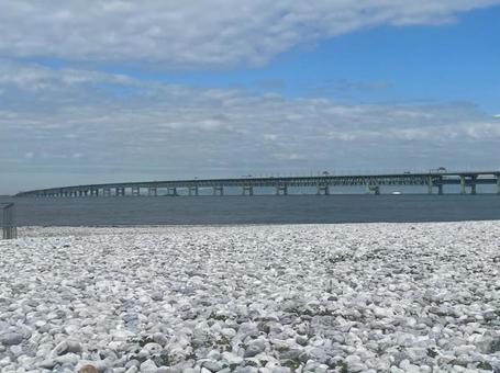 関空連絡橋　マーブルビーチ　りんくう公園 関空連絡橋,マーブルビーチ,りんくう公園の写真素材