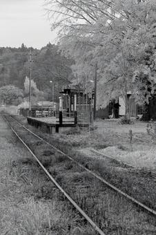 小湊鐵道 小湊鐵道,上総久保駅,銀杏の写真素材