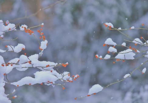 It is snow and winter scenery piled up on the southern sky, snow, snow, red, JPG