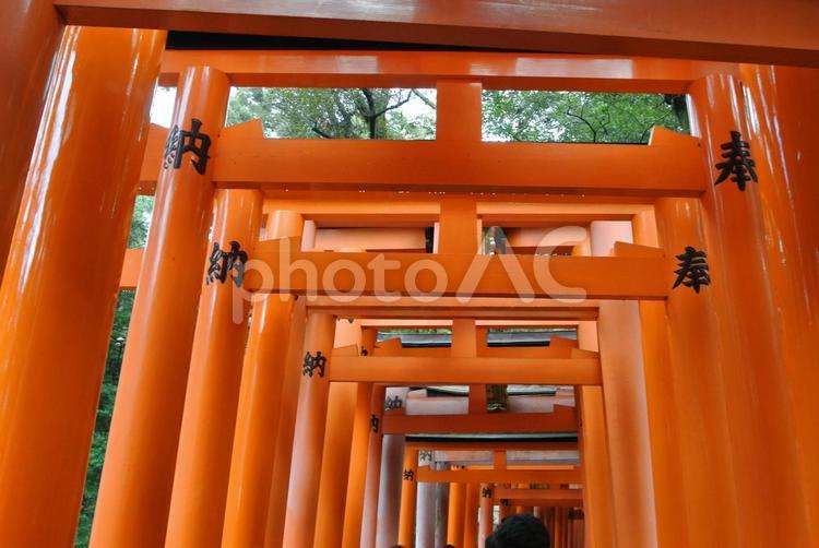 伏見大社稲荷4 伏見稲荷,京都,屋台の写真素材