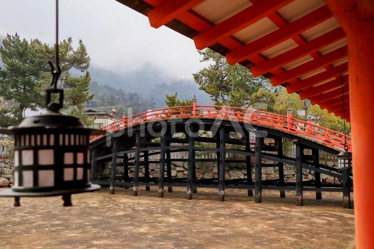 厳島神社の反橋（勅使橋） 嚴島神社,厳島神社,反橋の写真素材