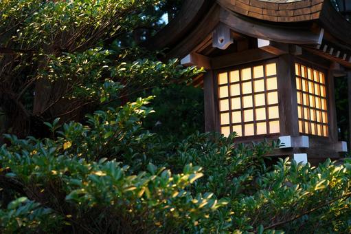 葉を照らす灯篭 葉を照らす灯篭 灯篭,神社,弥彦神社の写真素材