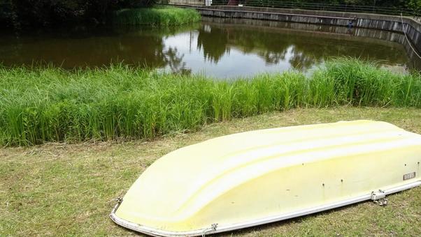 黄色いボート(浮島の森) 黄色いボート(浮島の森)の写真