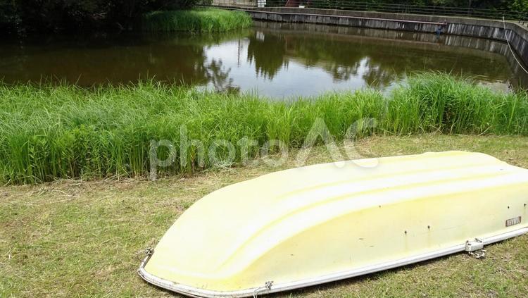 黄色いボート（浮島の森） ボート,黄色,沼の写真素材