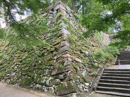 亀岡城 亀岡城の写真