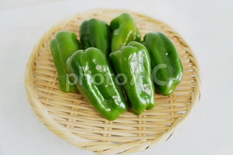 採れたてピーマン ピーマン,野菜,新鮮の写真素材