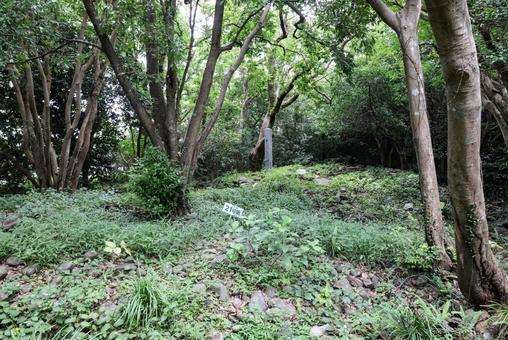 曲崎古墳群 曲崎古墳群 まがり崎古墳群,積石塚,遺構の写真素材