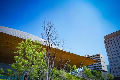 木々と建築の調和 有明,東京都,日本の写真素材