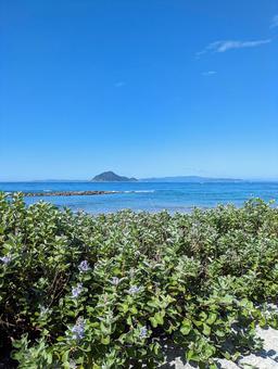 恋路ヶ浜から神島を見る 恋路ヶ浜,夏,海の写真素材