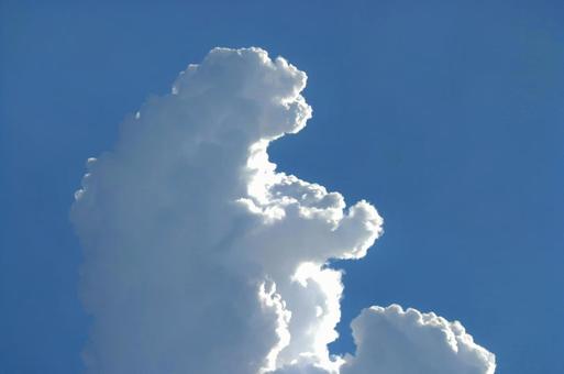 ゴジラ雲 ゴジラ雲 夏,雲,青空の写真素材