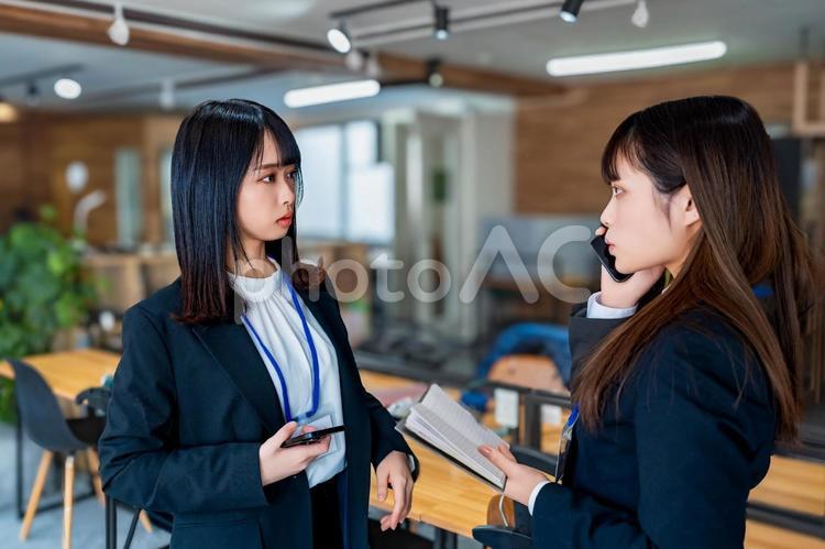 2人で相談し合うビジネスウーマン 女性,ビジネス,ビジネスウーマンの写真素材