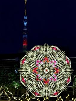 スカイツリーと竹あかり 竹あかり,ネオン,キラキラの写真素材