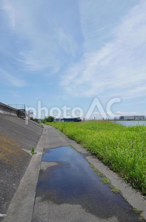多摩川下流（大田区）の護岸 堤防,多摩川,護岸の写真素材