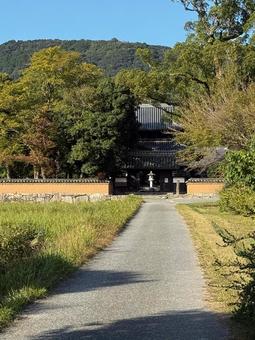 戒壇院(福岡　太宰府市) 戒壇院,寺院,太宰府の写真素材