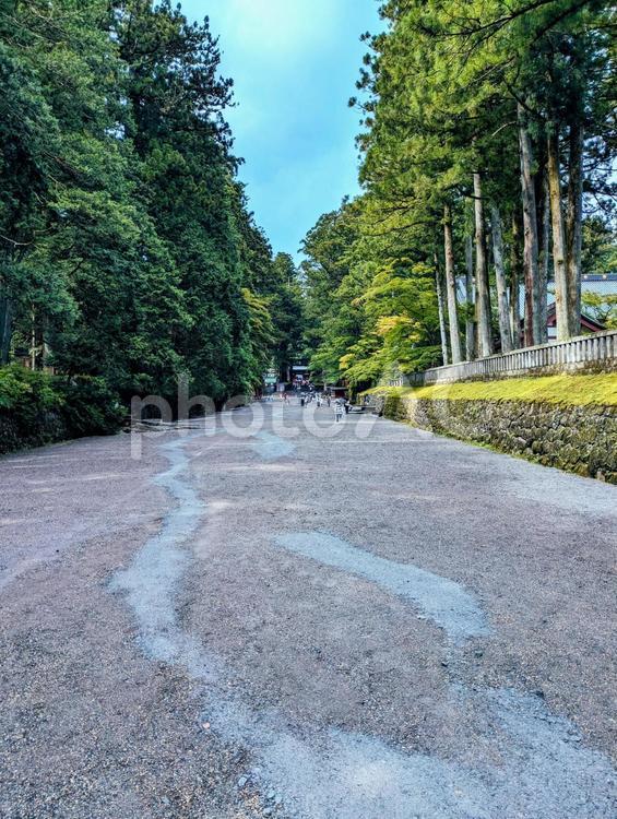 日光　東照宮　参道の風景 日光,日光観光,東照宮の写真素材