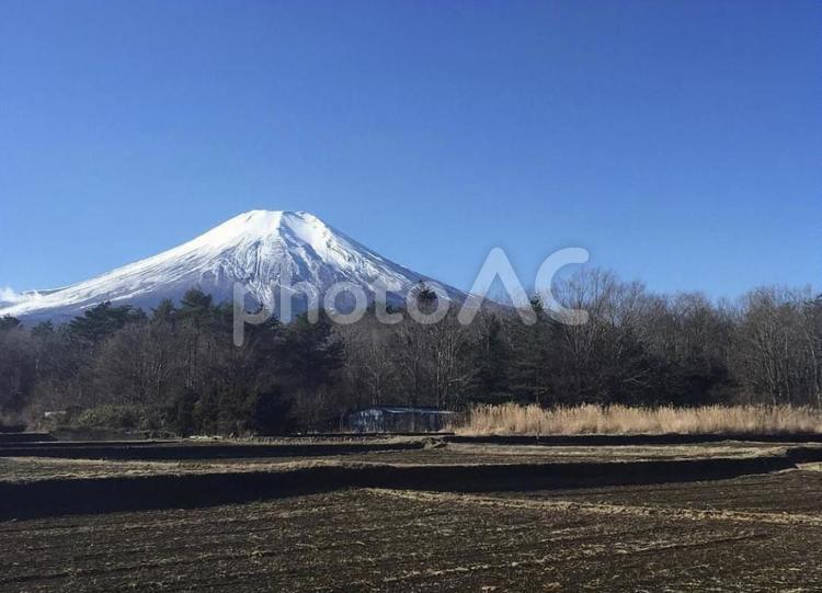 富士山麓　冬の田園風景 雪,風景,火山の写真素材