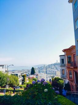 Lombard Street* Lombard Street* ロンバード・ストリート,ロンバードストリート,ロンバートストリートの写真素材