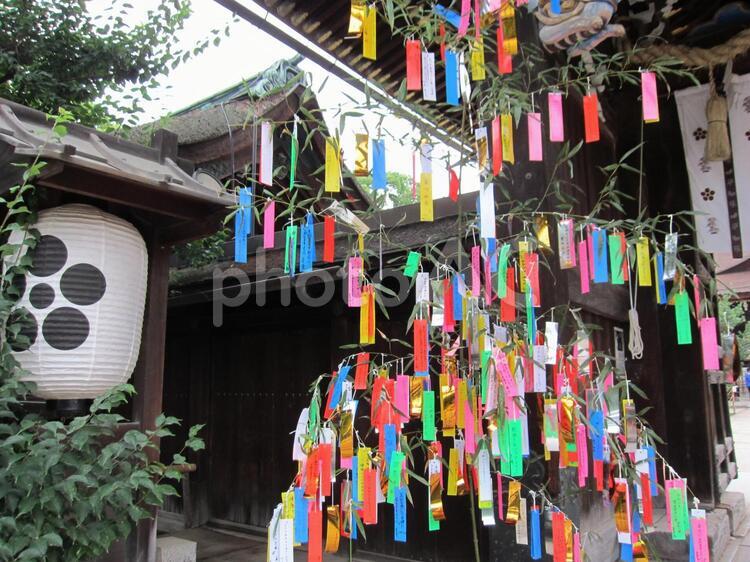 天神さんの七夕　その八 天神さん,北野天神,北野天満宮の写真素材