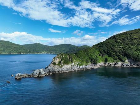 Photo, rhinophyma, cape, peninsula, 