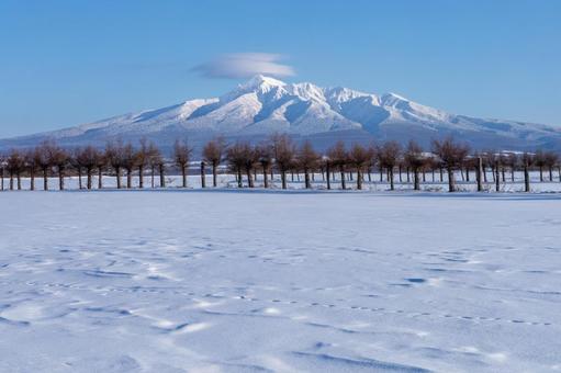 風紋のできた雪原と冬の斜里岳 風紋のできた雪原と冬の斜里岳 斜里岳,風紋,雄大の写真素材