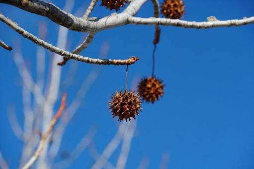 ツリーオーナメントの写真