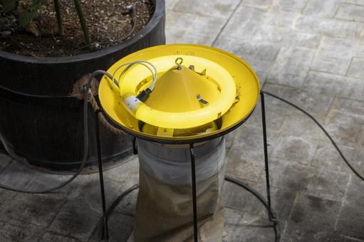 黄色い蛍光灯 黄色い蛍光灯,イエローランプ,黄色の写真素材