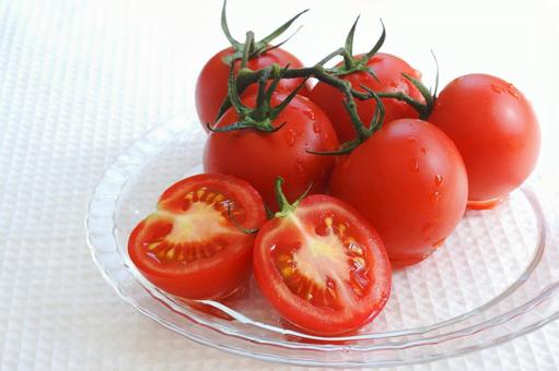 ミディトマト ミディトマト ミディトマト,トマト,夏野菜の写真素材