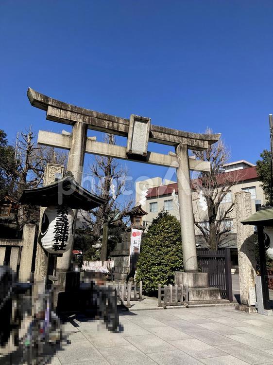 東京風景・素盞雄神社 素盞雄神社,鳥居,神額の写真素材