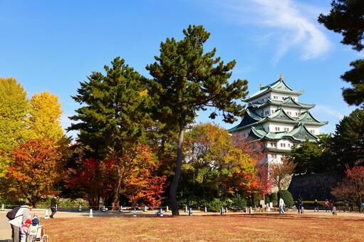 名古屋城と紅葉した木々の秋の風景 名古屋城,城,お城の写真素材