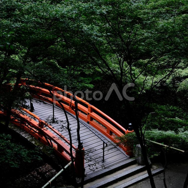 朱塗り橋 橋,朱塗り,寺院の写真素材