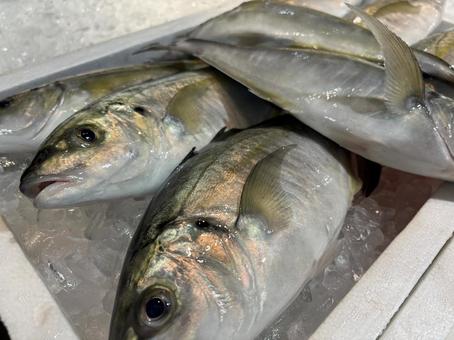 市場の魚(アジ) 市場の魚(アジ)の写真
