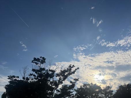 夏空と飛行機 夏空と飛行機 夏,空,夏休みの写真素材