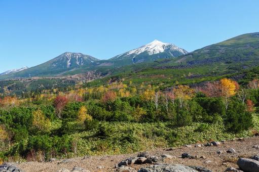 紅葉と十勝岳望岳台 紅葉と十勝岳望岳台 美瑛,十勝岳望岳台,十勝岳連峰の写真素材