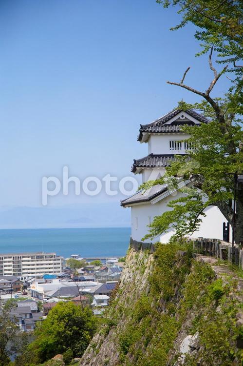 【滋賀県】彦根城櫓と琵琶湖 風景,空,滋賀の写真素材