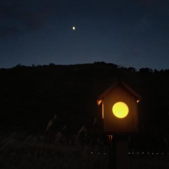 秋の曽爾高原 曽爾高原,ススキ,ライトアップの写真素材