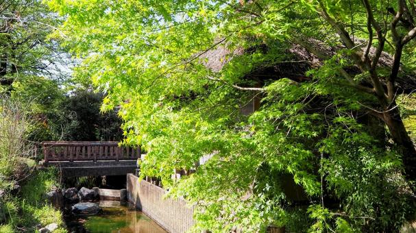 春の山吹の里・新緑の小川&小橋(越生町) 春の山吹の里・新緑の小川&小橋(越生町) 春,山吹の里歴史公園,埼玉県の写真素材