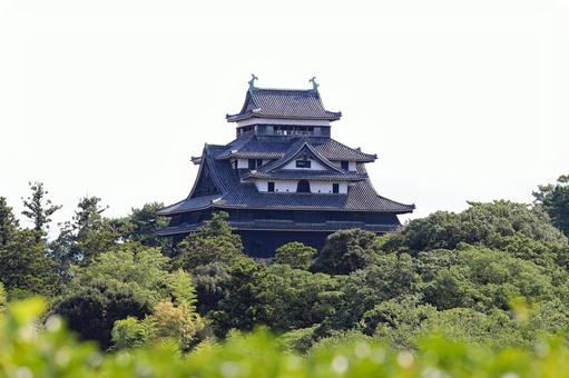 現存天守松江城11 現存天守松江城11の写真