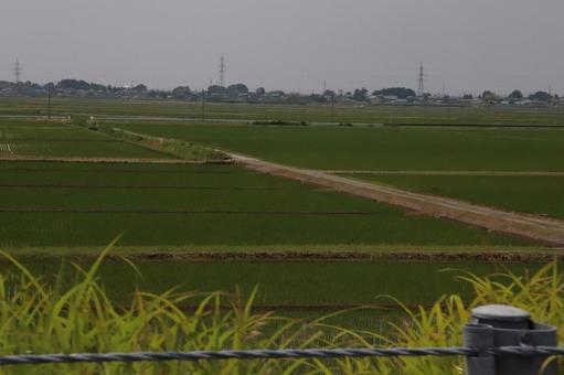 Photo, paddy field, the countryside, hometown, 