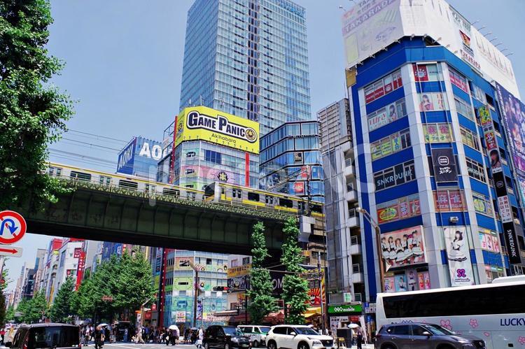 秋葉原2025夏　炎天下の中央通り 秋葉原,炎天下,中央通りの写真素材