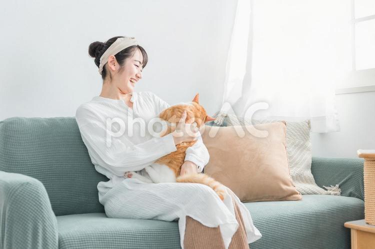 家で猫と遊ぶ日本人女性（嫌がる） 猫,ネコ,ペットの写真素材
