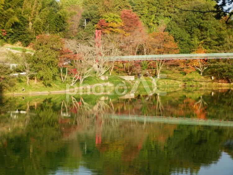 秋のとっくり湖 信貴山,とっくり湖,秋の写真素材