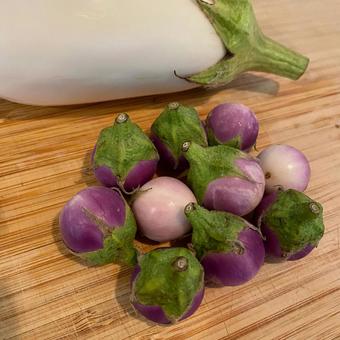 マイクロなす マイクロなす マイクロなす,野菜,紫の写真素材
