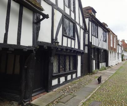 イギリス　古民家　猫 イギリス,古民家,猫の写真素材