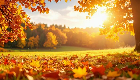 秋のイメージの風景写真 秋のイメージの風景写真の写真