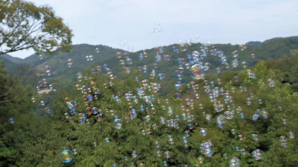 夏休みの公園で沢山のシャボン玉飛んだ 夏休みの公園で沢山のシャボン玉飛んだ シャボン玉,夏休み,しゃぼん玉の写真素材
