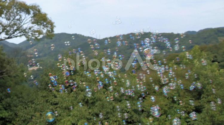 夏休みの公園で沢山のシャボン玉飛んだ シャボン玉,夏休み,しゃぼん玉の写真素材