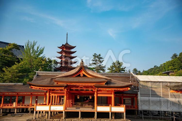 厳島神社の夕暮れ 厳島神社,宮島,広島の写真素材