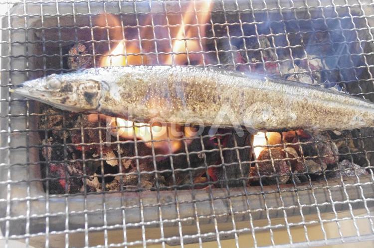 秋のごちそう_炭火で香ばしく焼く秋刀魚 サンマ,秋刀魚,秋の味覚の写真素材