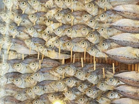 干物 干物の写真