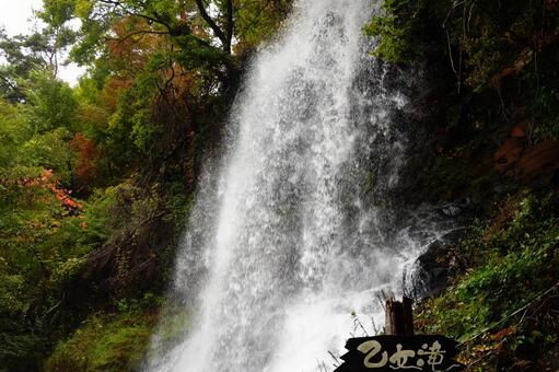 森に映える滝の風景 乙女滝,滝,水しぶきの写真素材